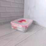 ظرف فریزری مستطیل ۲.۹ لیتری دسته‌ دار زیبا