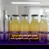 راهنمای جامع انتخاب و نگهداری بطری آبلیمو: از جنس مناسب تا جلوگیری از فساد