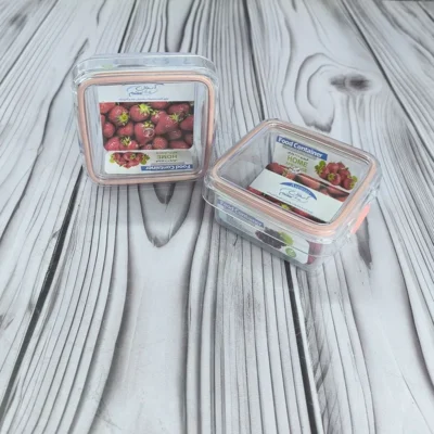 ظرف فریزری آسمان 810