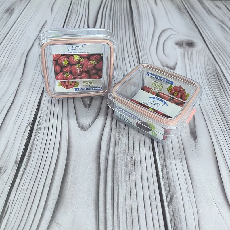 ظرف فریزری آسمان 810