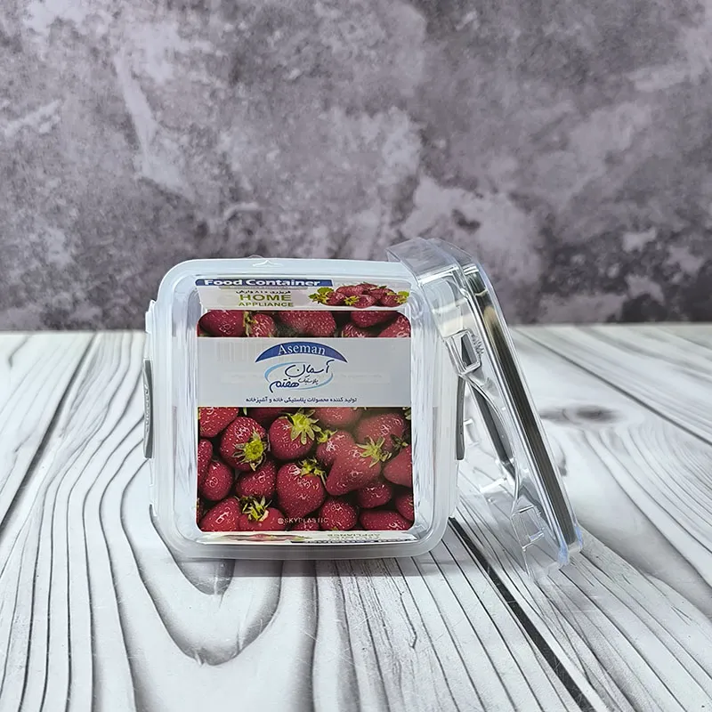 ظرف فریزری آسمان 810