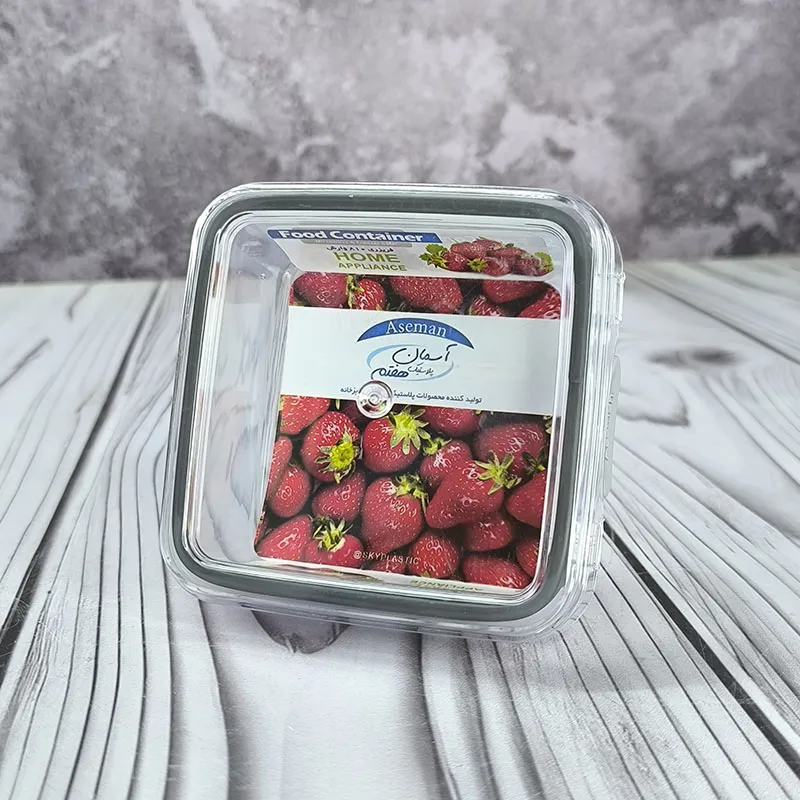 ظرف فریزری آسمان 810