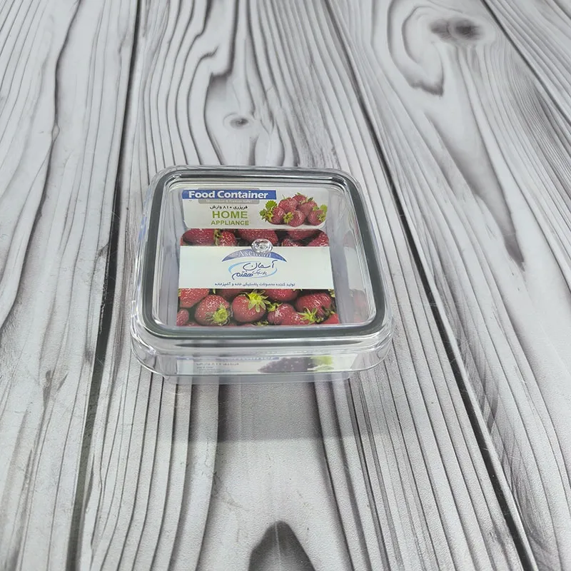 ظرف فریزری آسمان 810