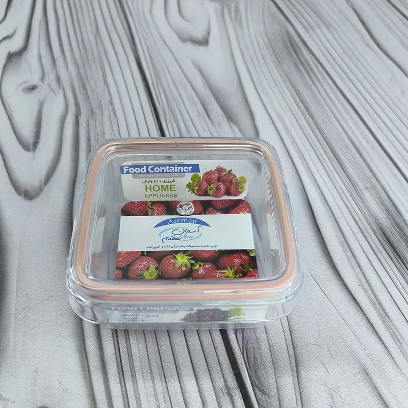 ظرف فریزری آسمان 810