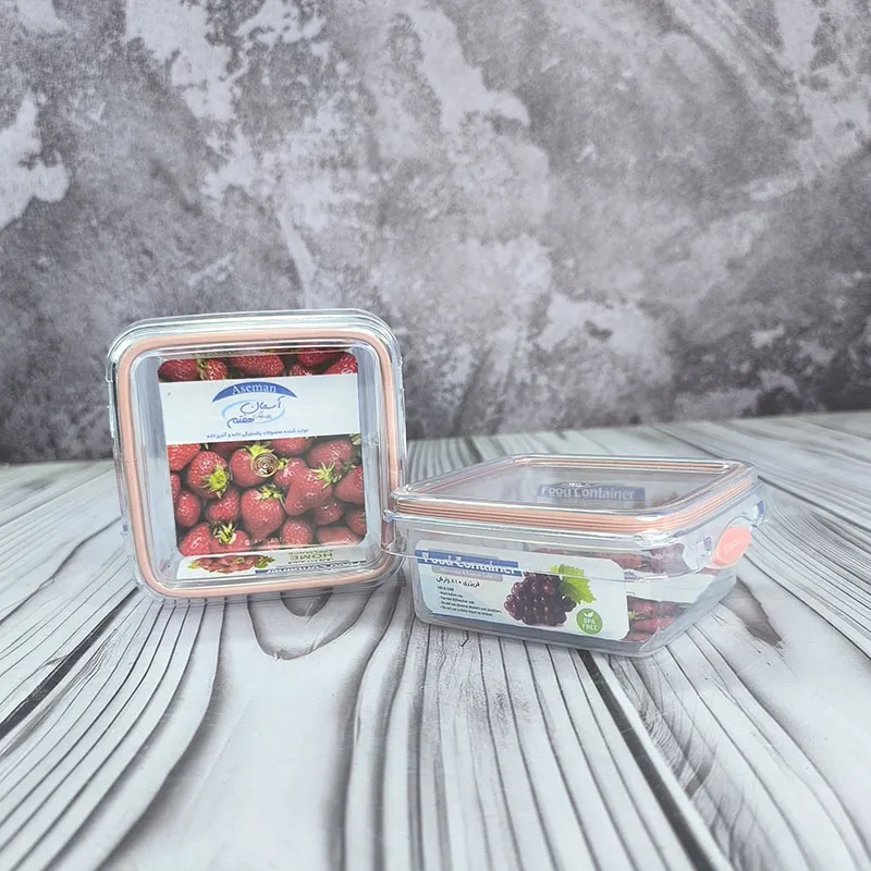 ظرف فریزری آسمان 810