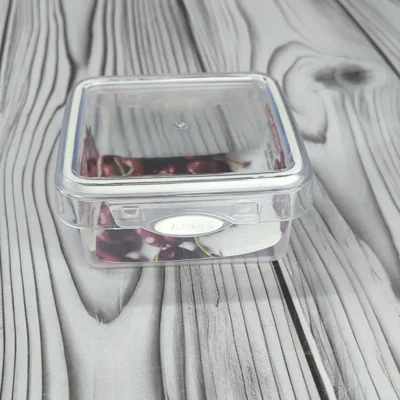 ظرف فریزری آسمان 820