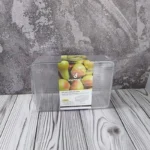 نظم دهنده دربدار بزرگ هیوا دومان